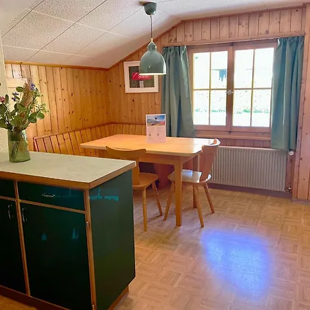 Dachnest Appartement Sedrun