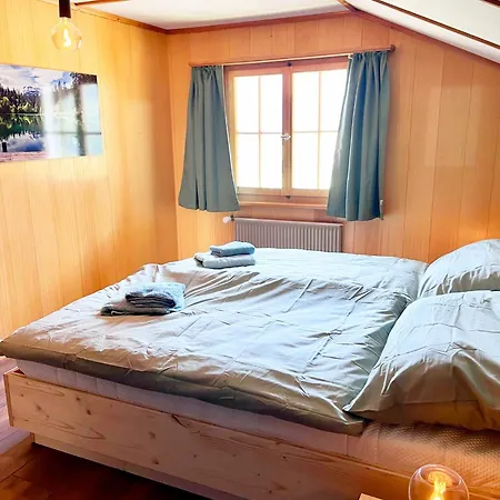 Dachnest Appartement Sedrun