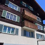 Dachnest *