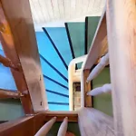 Dachnest *