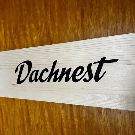 Dachnest Appartement Sedrun
