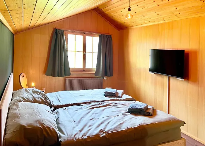 Dachnest Appartement